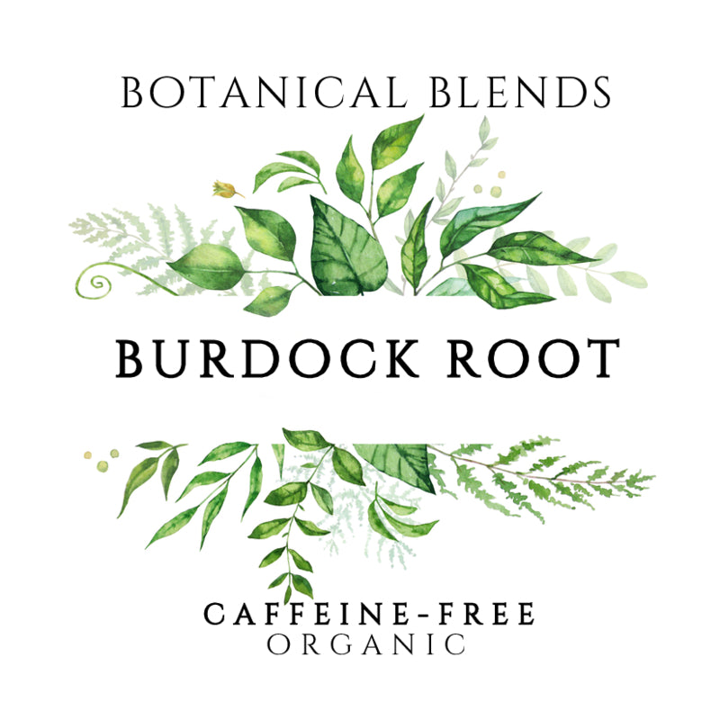 Burdock Root Bluffton Tea Company