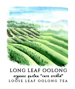 Long Leaf Quilan "Rare Orchid" Oolong