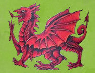 Happy St David's Day to all of our Friends in Wales.