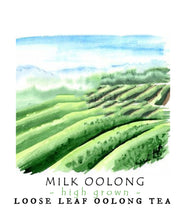 Milk Oolong